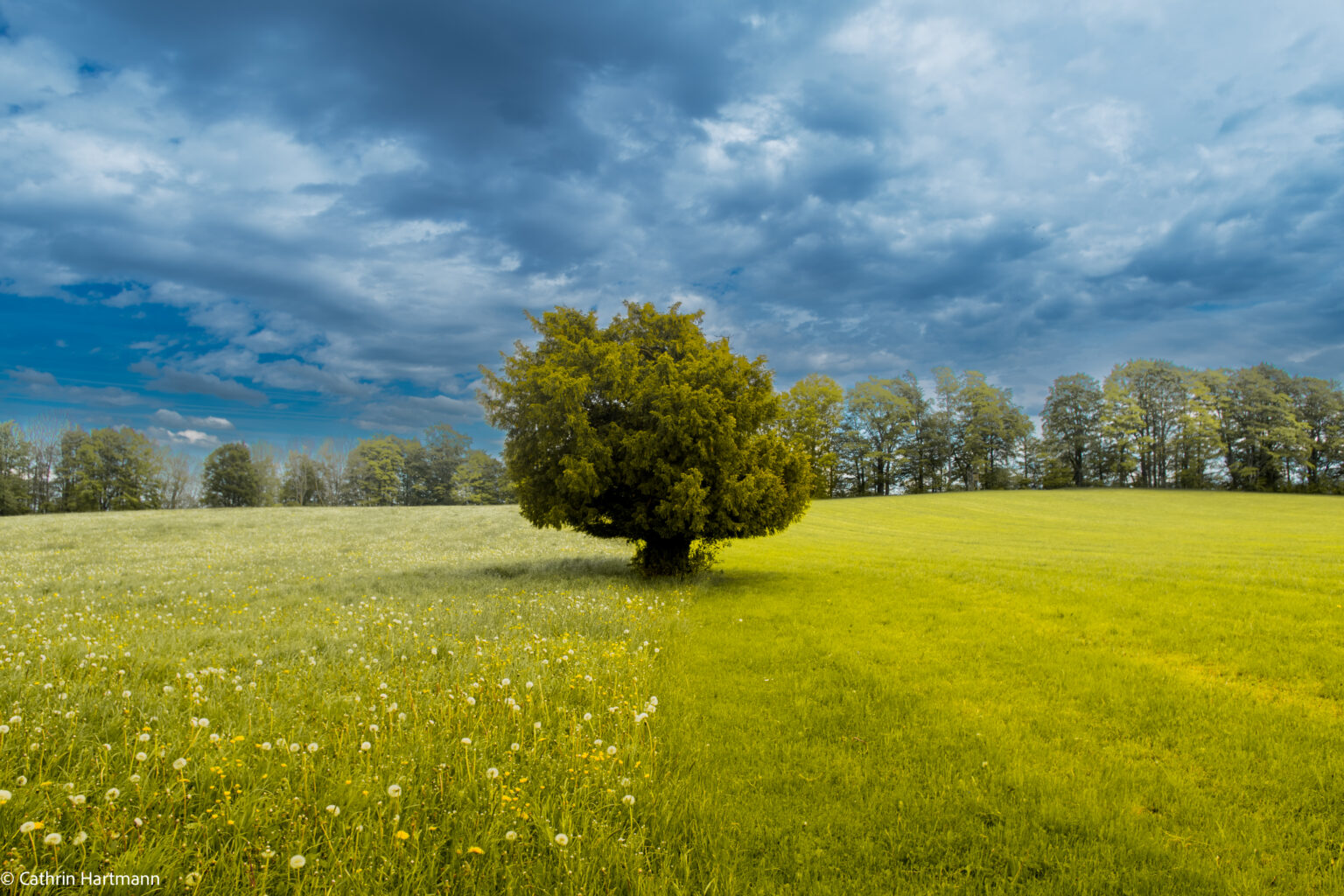 Cathrin Hartmann Apfeldorf Wessofontanum