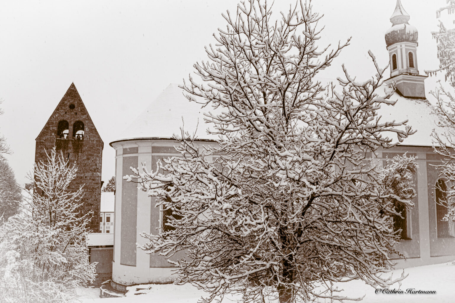 Cathrin Hartmann Apfeldorf Wessofontanum